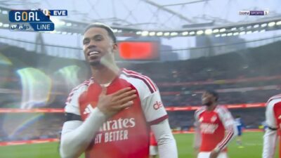 هدف جابرييل ماجاليس في مرمى إيفرتون بالدوري الإنجليزي